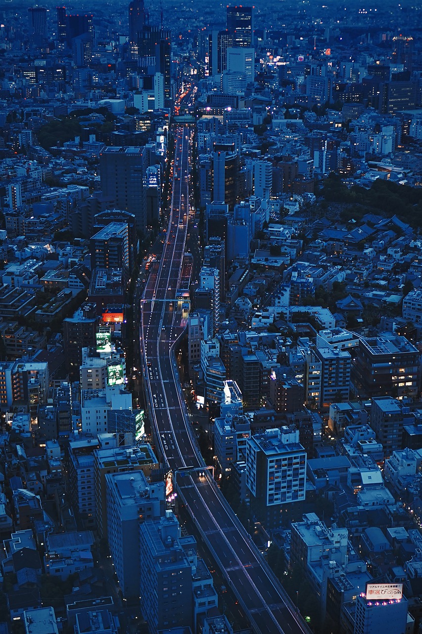 budynki